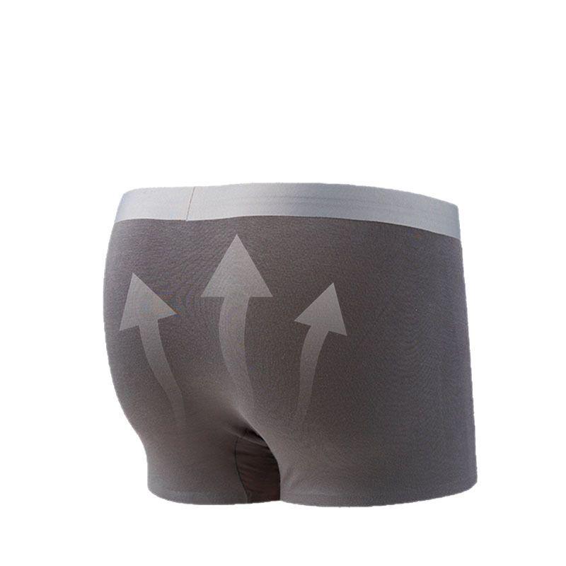 Men's Seamless Modal Boxer Briefs with Antibacterial Crotch - 2025 Edition, In Stock