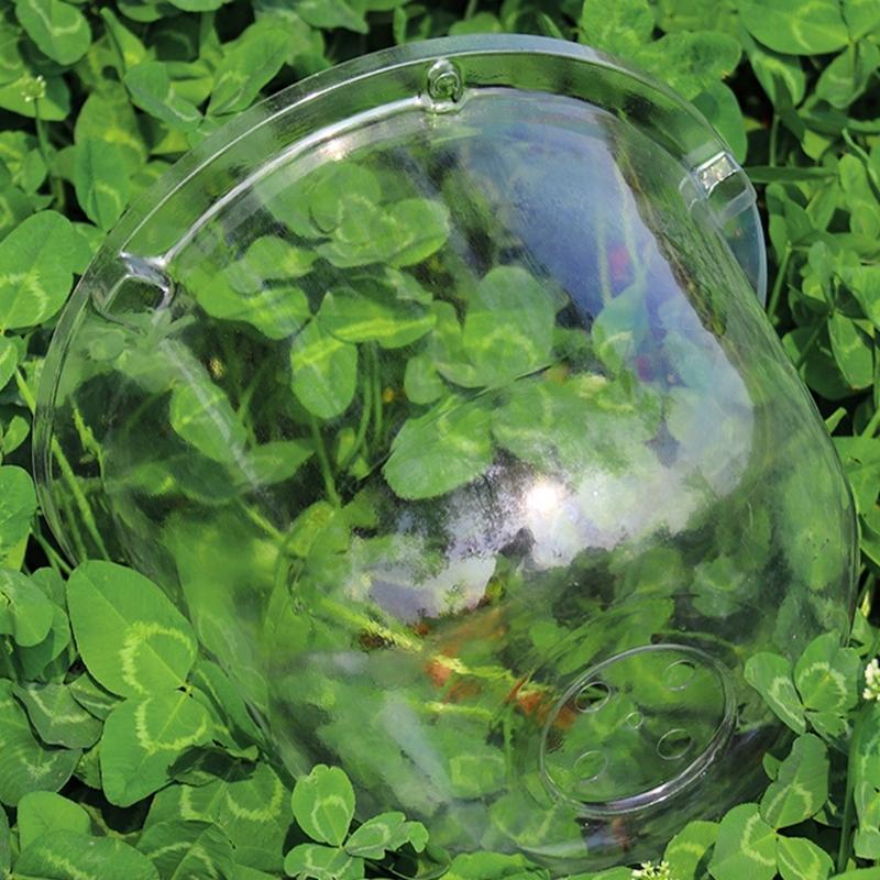 Прозрачные защитные чехлы для рассады Прозрачный защитный чехол Теплицы Улучшает рост растений в теплицах