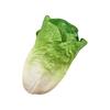 PU Realistic Fakes Vegetables Decor Set For Kitchen Home Decor Simulation Vegetable Models