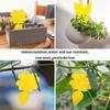 20Pcs Insect Traps Protect The Plant Double Sided Gnat Traps Non-Toxic And Odorless Sticky Board Traps For Garden Plants Kitchen