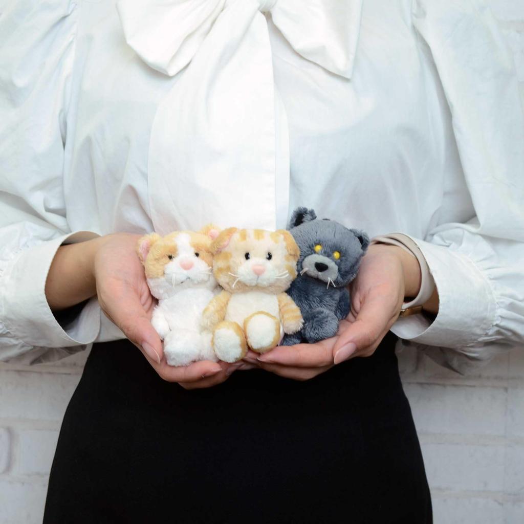 Брелок NICI - Экзотическая короткошерстная BB (10см) Брелок для ключей