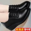 New Soft Women's Shoes Middle-aged and Elderly Soft Soles Comfortable Mother Thick Heel Non-slip Women's Single Shoes Fashionable Versatile Small Le