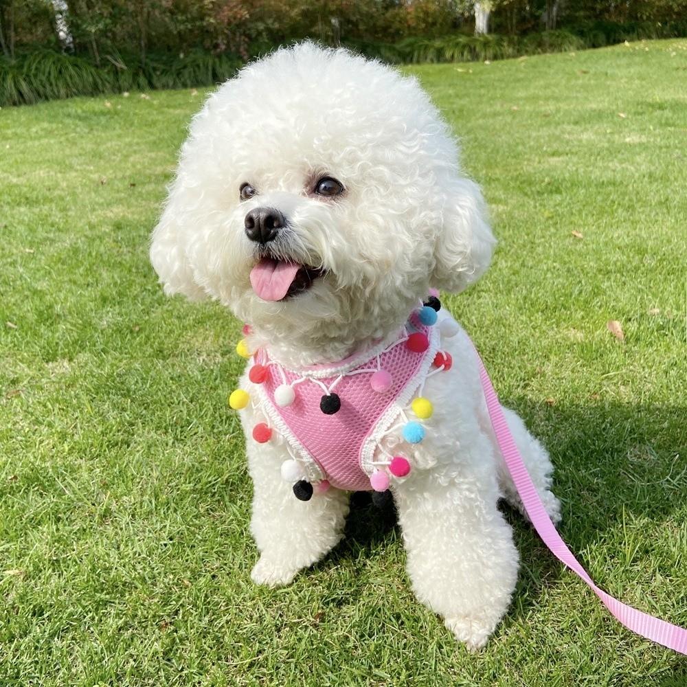 Colorful Ball Dog Harness Vest Adjustable Dog Chest Strap Durable Pet Walking Rope  Daily Use