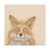 Bev Davies Zen Fox Paper Poster