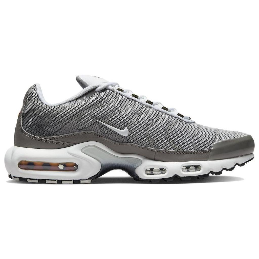 Nike Мужские кроссовки Air Max Plus SE Flat Pewter Серые Photon-Dust Black DV7665-002