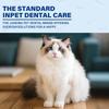 Pet Toothpaste with Toothbrushes & Finger Cots for Cats Dogs Deep Cleaning Teeth Stain Remover Breath Freshener Dental Care 30g