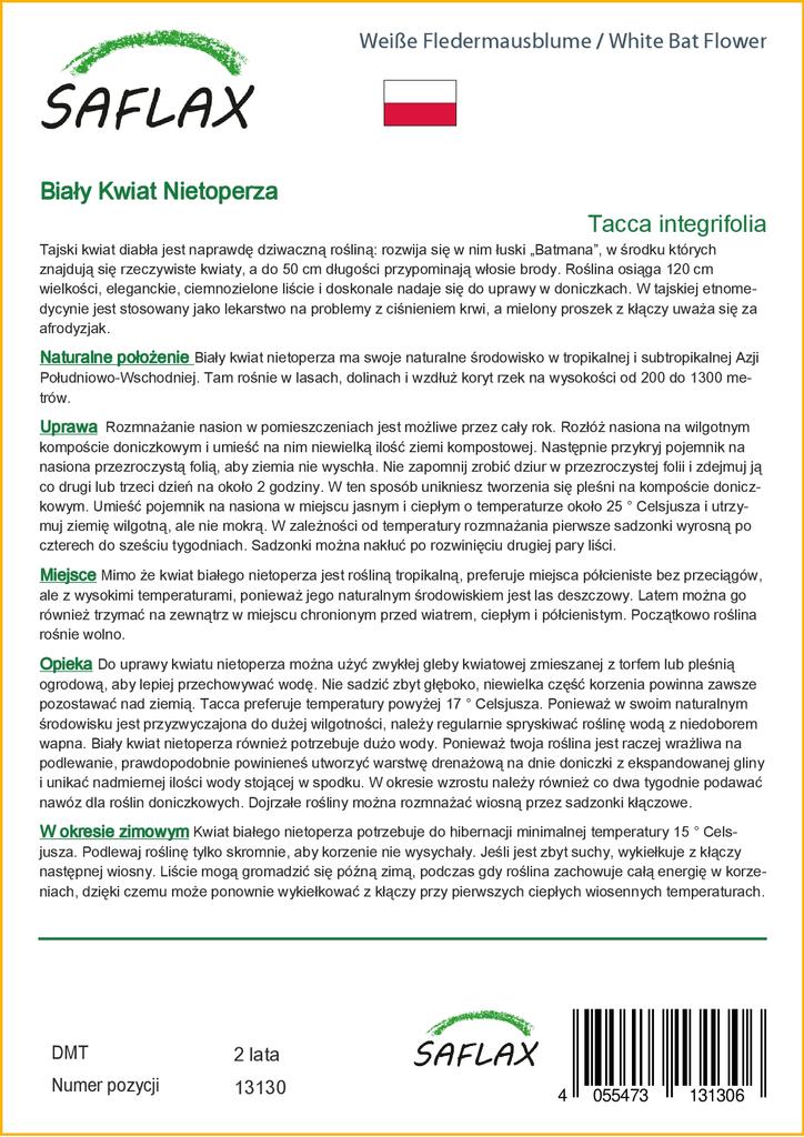 SAFLAX Белый цветок летучей мыши - Tacca integrifolia, 10 семян.
