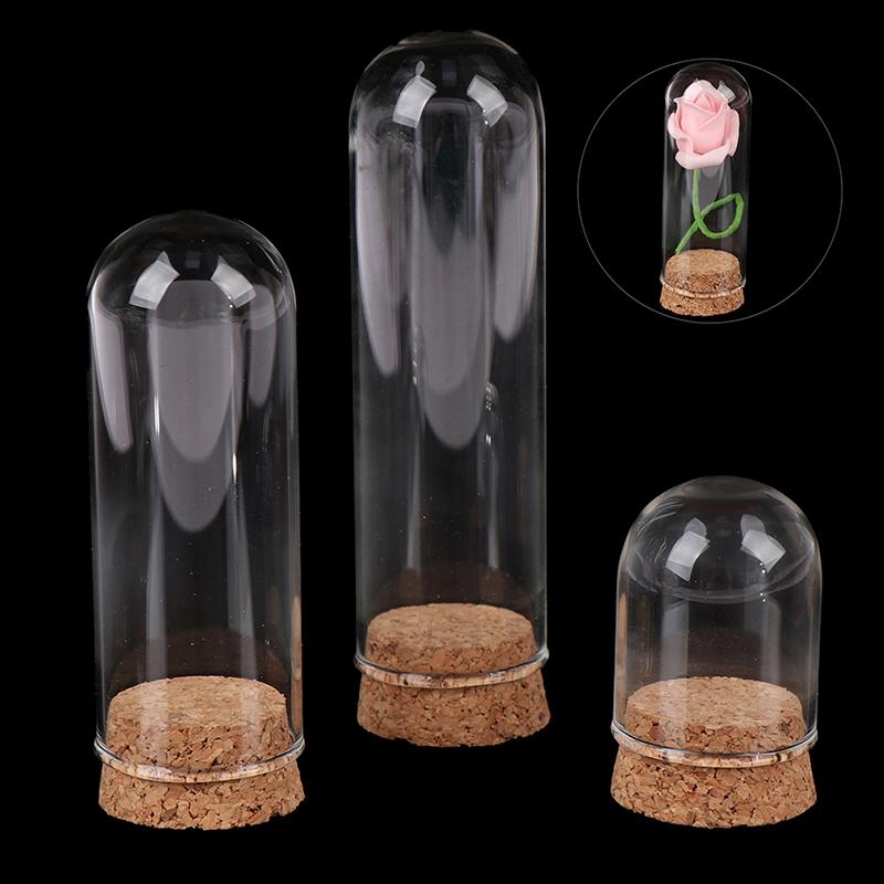1/6 Doll Glass Dome Display Wood Cork Bell Jar With Wooden Base Decoation Craft