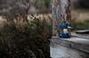BAREBONES Mini Edison LED Lantern, Ocean Blue [Official Japanese Distributor]
