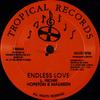 12-дюймовая пластинка HOPETON LEWIS & MAUREEN - Endless Love TR004 Tropical Record US Регги, Ска и Даб Б/У