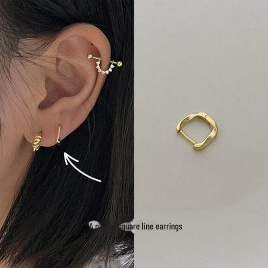 Exquisite Small 925 Silver Diamond Earrings for Women - Korean Style
