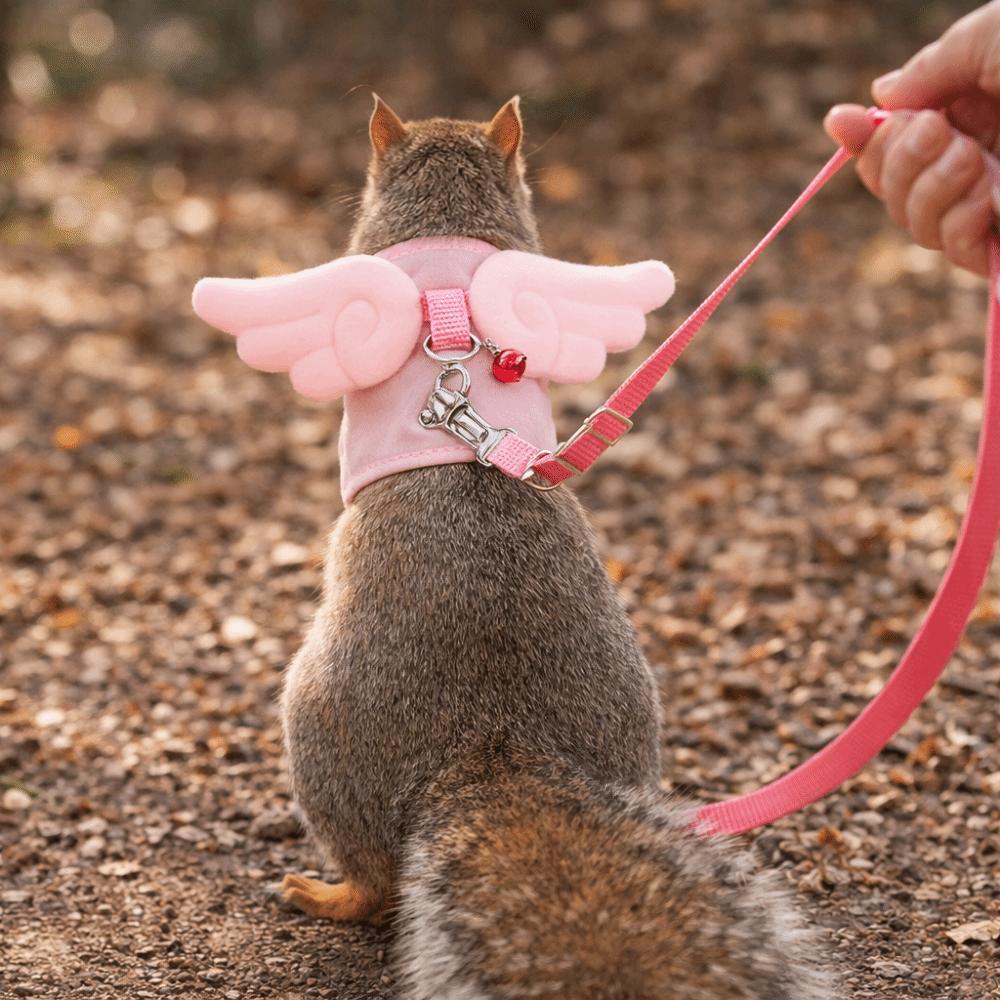 Adjustable Ferret Traction Harness Cartoon Pet Traction Rope Guinea Pig Chest Strap Pet Supplies
