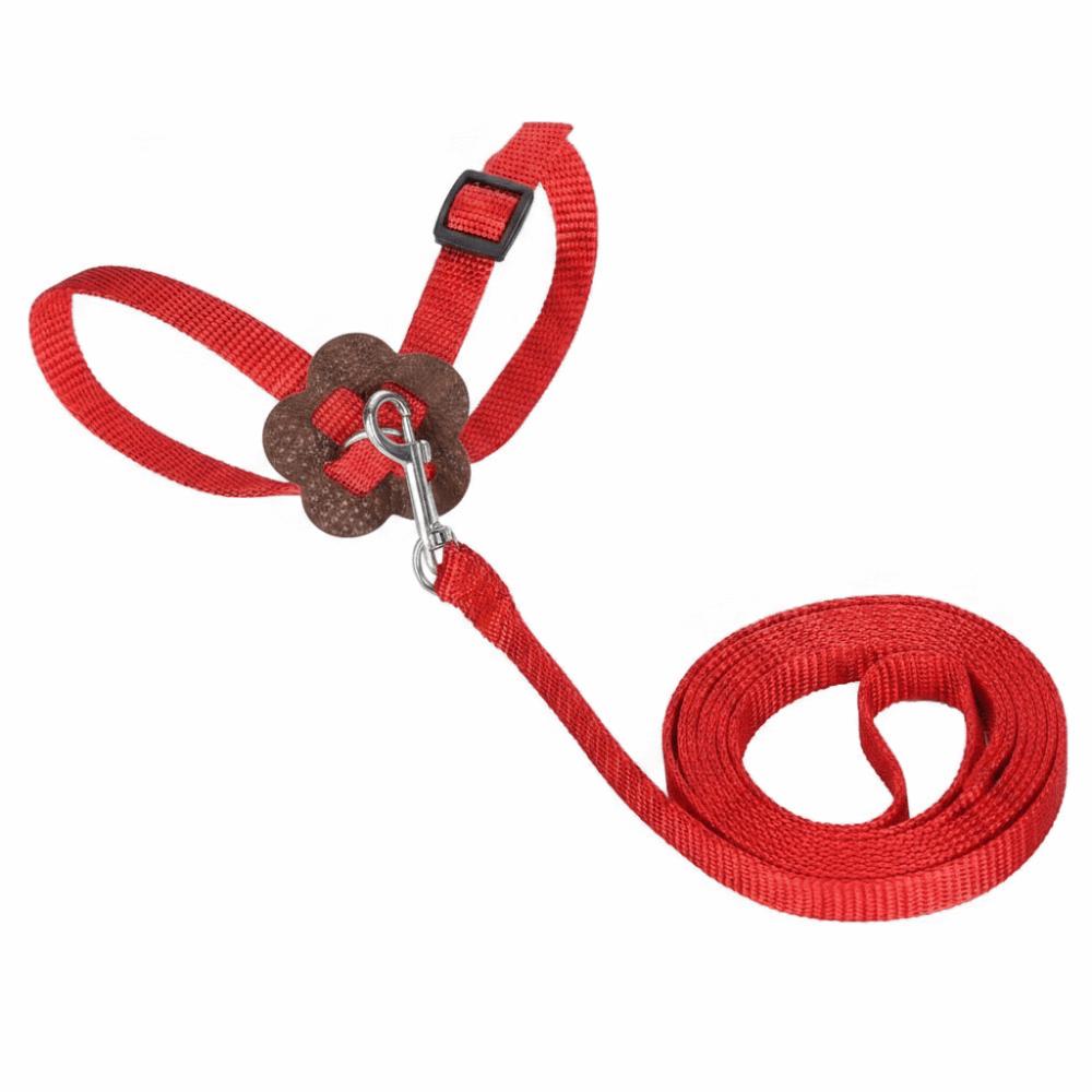 Adjustable Bird Harness Leash Nylon Material Parrot Leash Bird Training Rope Outdoor Training