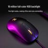 Rapoo V22S Wired RGB Gaming Mouse