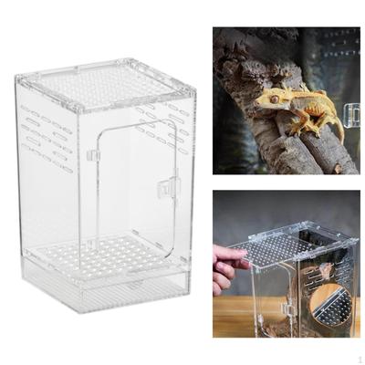 Акриловый террариум-клетка для разведения, танк, террариум для богомолов, наземных шелкопрядов, хамелеонов