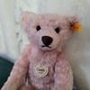 [USED] Steiff Classic Teddy Bear 1907