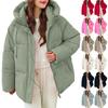 Women's Winter Warm Cotton Jacket Single Breasted Zipper Jacket