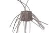 OSP Мягкая приманка Saikoro Rubber Max Salt 12 мм SR05 (7768)