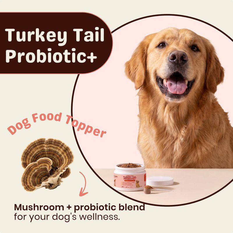 Turkey tail mushroom dog food sprinkle, bacon flavored pet food supplement, easy to sprinkle into daily feeding, 30 servings.