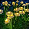 Solar Powered 6/8/10 LED Jellyfish Mushroom Lights, Garden Landscape Lights, Outdoor Lawn Lights, Holiday Garden Decorative Lights