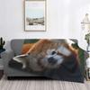 Red Panda Big Cat Blankets Fleece Decoration Cute Animal Multifunction Soft Throw Blankets for Home Travel Bedspread