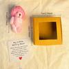 Cute Mini Teddy Bear Box Gift Plush Pocket Bear in Box Plush Teddy Bear Gifts  For Girls