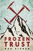 Книга Frozen Trust A Novel Of Espionage And Romance by Rae Richen - Paperback