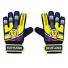Scotland FA Детские вратарские перчатки