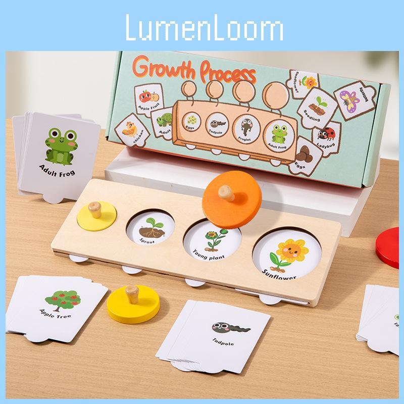 Монтессори Пазл Цикл Роста Деревянная Обучающая Игрушка для Дошкольного Обучения