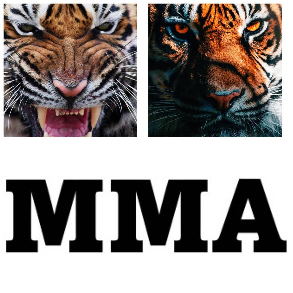 Tiger Muay Thai T-Shirt Kick Boxing 3D Print Vintage Training UV Protect Quick Dry Men Women Unisex Short Sleeve Round Neck MMA Mix Martial Art