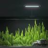 Waterproof Plants Grow Lamp High Brightness Landscape Lamps Fish Tank Clip-on Lamp Aquatic Plant