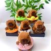 Capybara Swimming Ring Plush Toy & Keychain Doll - Stuffed Animal Birthday Gift Pendant