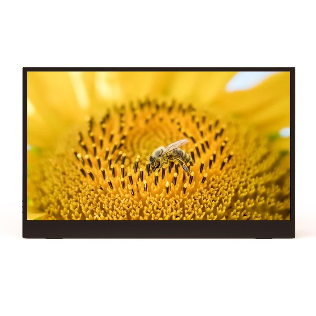 15,6-дюймовый монитор FHD 1080P для ноутбука IPS-экран Портативный игровой внешний монитор Plug & Play с PU