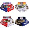 Short Muay Thai Men's Printing MMA Shorts 2020 New Fight Grappling Boxeo Shorts for Thai Boxing Sanda Trunks for Adult Kids
