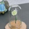 1/5 PCS Rose Under Glass Cloche – 1:12 Miniature for Dollhouse, Fairy Garden Paths & Micro Landscapes, Mini Simulation Models