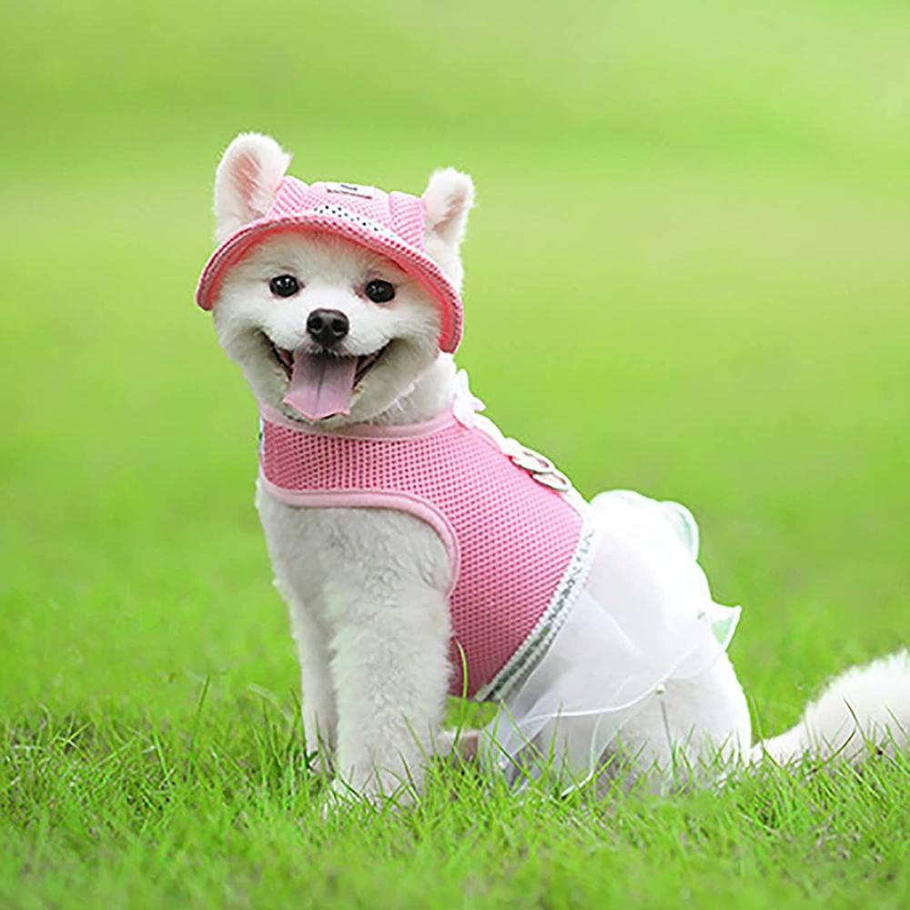 Outdoor Supplies Breathable with Ear Holes Cat Accessories Dog Caps Pet Hat Sun Protection Cap