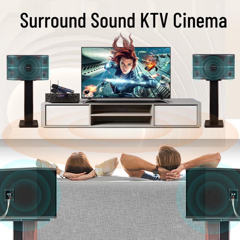 SANSUI FK-101 Home KTV Karaoke System (CN version)