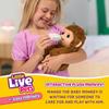 Little Live Pets Моя Малышка Обезьянка Манго Звуки и Реакции Плюшевый Интерактивный Набор Игрушек Обезьянки с Интерактивным Питомцем для Возраста 50+ Аксессуары, 4+
