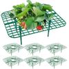 1/6/8 шт. Поддержка клубничных растений Подставка для посадки клубники Поддержание клубничных растений Стойка для выращивания клубники Выращивание