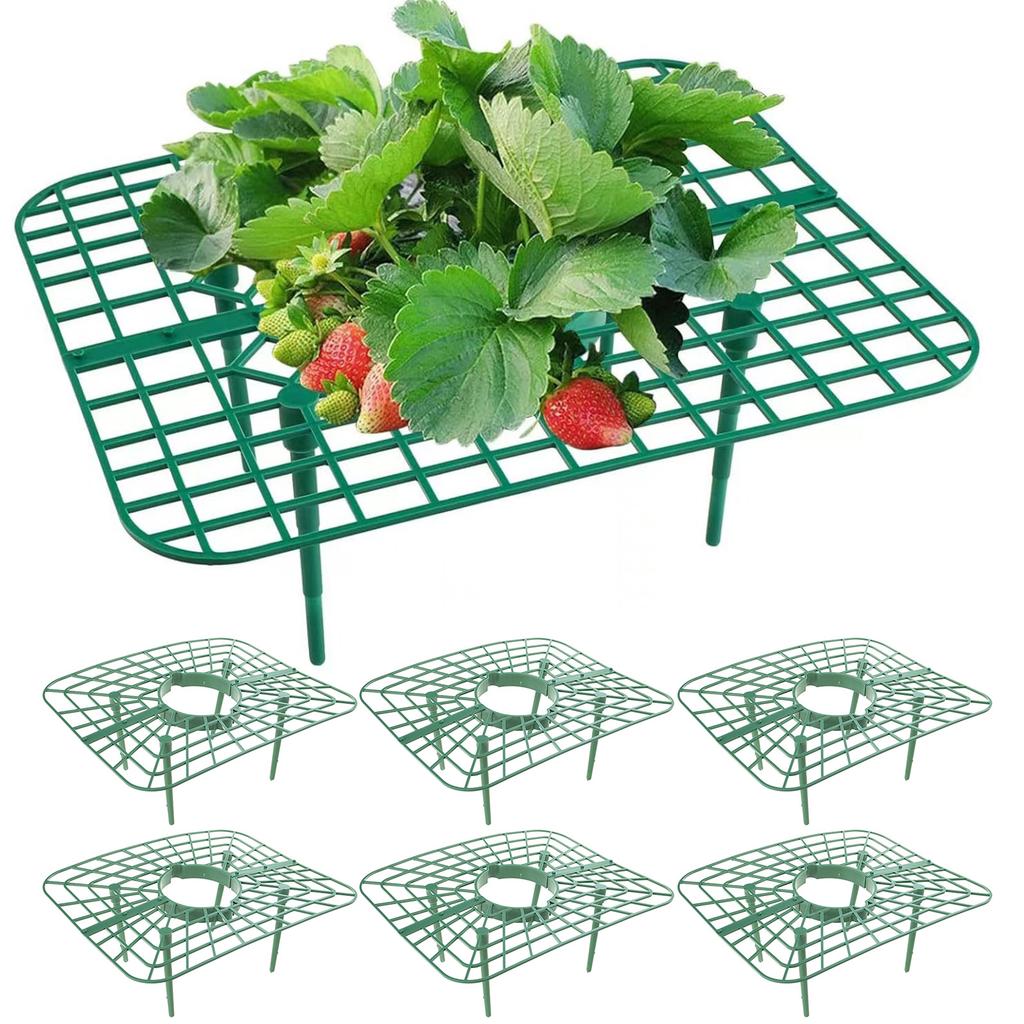 1/6/8 шт. Поддержка клубничных растений Подставка для посадки клубники Поддержание клубничных растений Стойка для выращивания клубники Выращивание