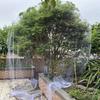 White Mesh Anti Bird Net 4-10m Plant Protection Covers Leaf Net Bird Plant Barrier  Fishpond