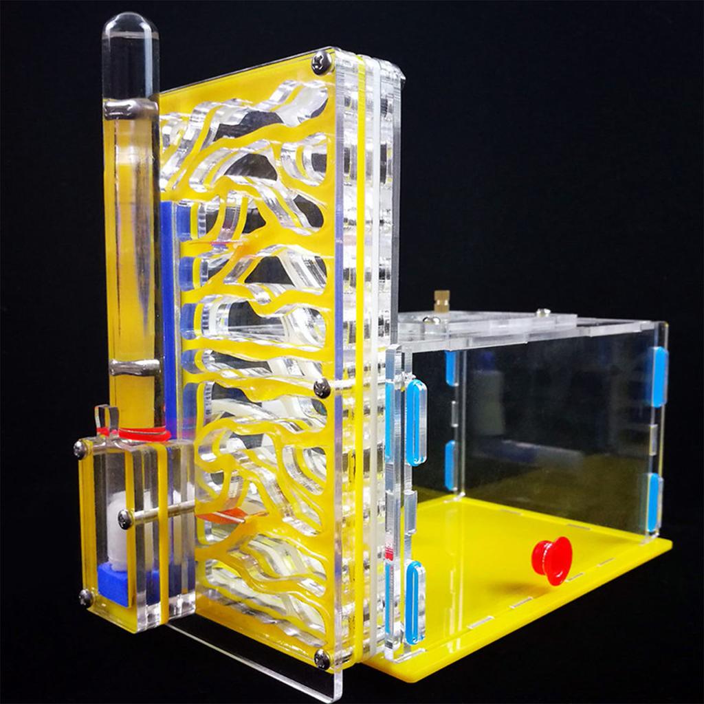 DIY T Design Feeding Area Acrylic Farm Insect Villa Mania House Ant Nest Birthday Present Gift