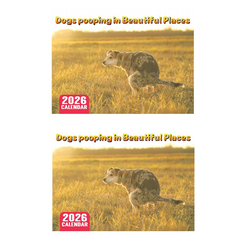 Calendar 2026 Dogs Pooping In Beautiful Places Funny Gag Gifts Thick Paper Wall Calendar Holiday Christmas White Elephant Gifts