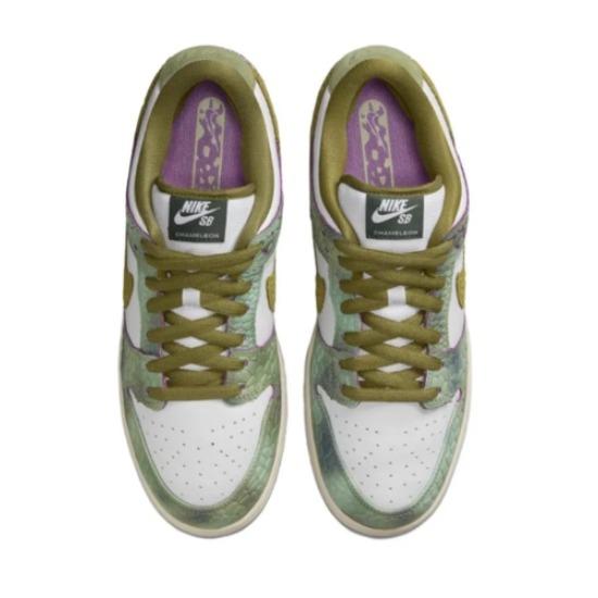 Nike Alexis Sablone x Dunk SB Low CHAMELEON Повседневные шорты-бордшорты мужские HJ3386-300