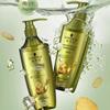 Schwarzkopf Ginger Essence Oil Control Shampoo