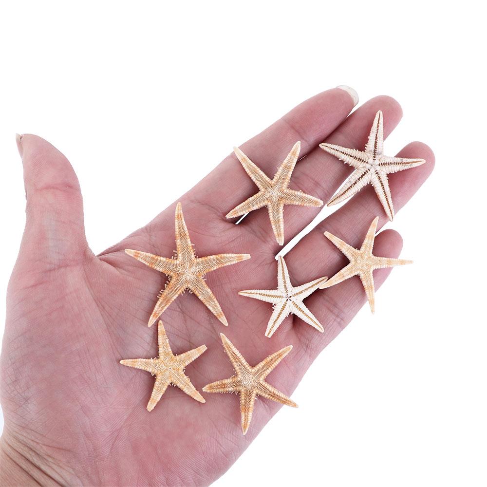Conch Sea Shells for Aquatic Pet Starfish Fish Tank Decoration Aquarium Supplies Resin Casting
