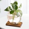 Flower Vase Glass Planter Terrarium Plants Propagation Station with Wooden Stand for Office