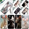 Чехол для телефона Samsung Galaxy A55 A54 A35 A15 A34 A14 A53 A33 A13 A05 A06 A16 A22 A32 A52 с изображением кошки сфинкса
