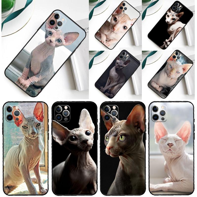 Чехол для телефона Samsung Galaxy A55 A54 A35 A15 A34 A14 A53 A33 A13 A05 A06 A16 A22 A32 A52 с изображением кошки сфинкса