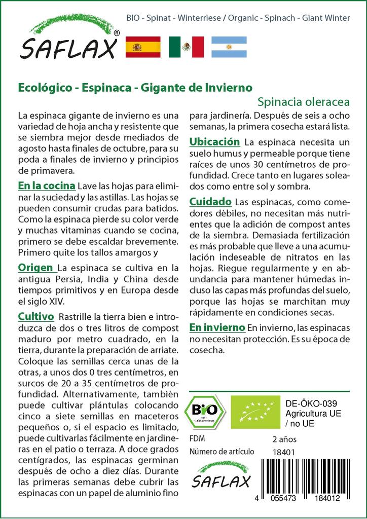 SAFLAX Garden in the Bag - Органический - Шпинат - Giant Winter - 250 семян - С субстратом в подходящем пакете - Spinacia oleracea